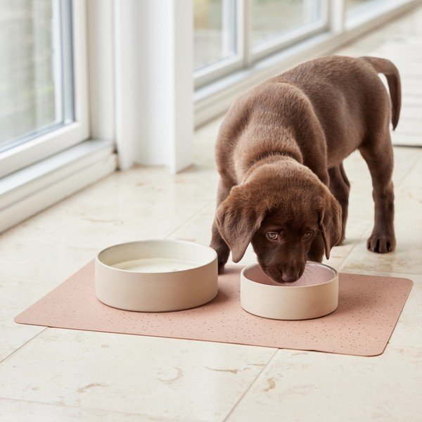 Iš keramikos augintinių dubuo šuniui ø 13 cm Sia – OYOY Living Design-image-2