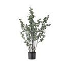 Dirbtinis eukaliptas (aukštis 117 cm) – Bloomingville