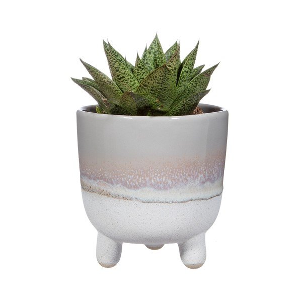 Pilkas vazonas Sass & Belle Bohemian Home Mojave, ø 11,7 cm-image-2