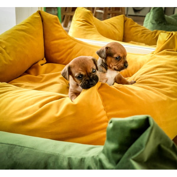 Augintinio guolis geltonos spalvos šuniui 80x67 cm – Madison-image-1