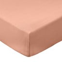 Terakotos spalvos iš medvilninio perkelio paklodė su guma 90x190 cm Cotton Percale – Bianca
