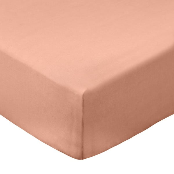 Terakotos spalvos iš medvilninio perkelio paklodė su guma 90x190 cm Cotton Percale – Bianca