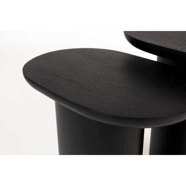 Iš mango medžio paviršiaus šoniniai stalai 2 vnt. 37x56 cm Bela – White Label-image-3