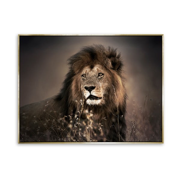 Tapyba ant drobės Styler Auksinis liūtas, 115 x 87 cm