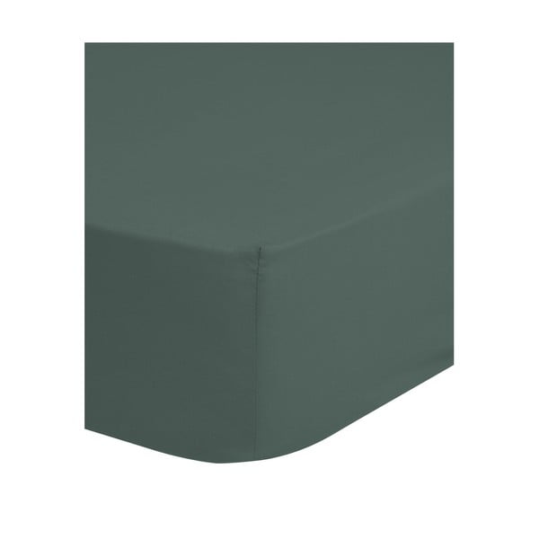 Paklodė žalios spalvos/pilkos spalvos iš medvilnės su guma 180x200 cm – Good Morning-image-1