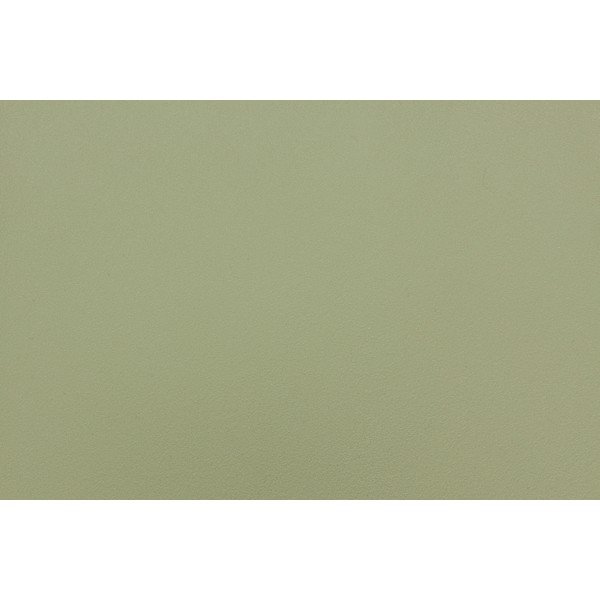 Plastikinės sodo kėdės žalios spalvos 4 vnt. Sjoerd – White Label-image-1