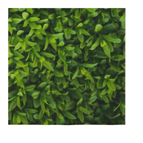 Žalias kilimas Oyo home Suzzo Grass, 140 x 220 cm-image-3