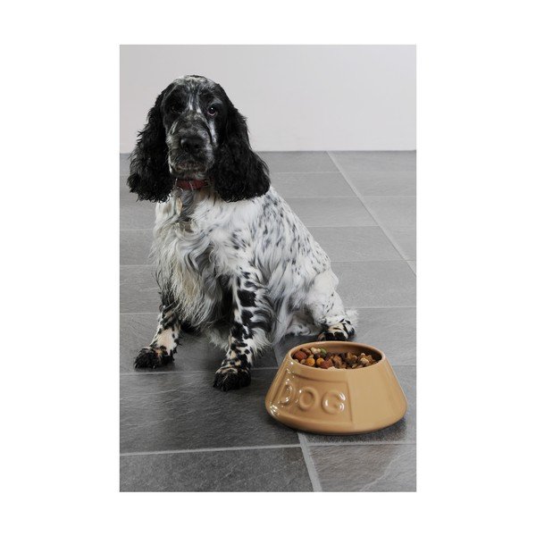 Akmens masės dubenėlis naminiams gyvūnams Mason Cash Pet Cane, ø 21 cm-image-2