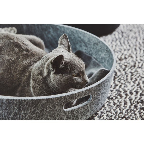 Iš tekstilės krepšys laikymui ø 46x12 cm Cesto Concrete – MiaCara-image-3