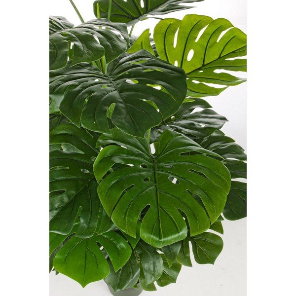 Dirbtinė monstera (aukštis 120 cm) Philodendron – Bizzotto-image-2