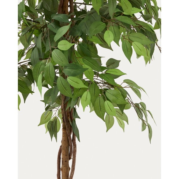 Dirbtinis fikusas (aukštis 180 cm) Ficus – Kave Home-image-1