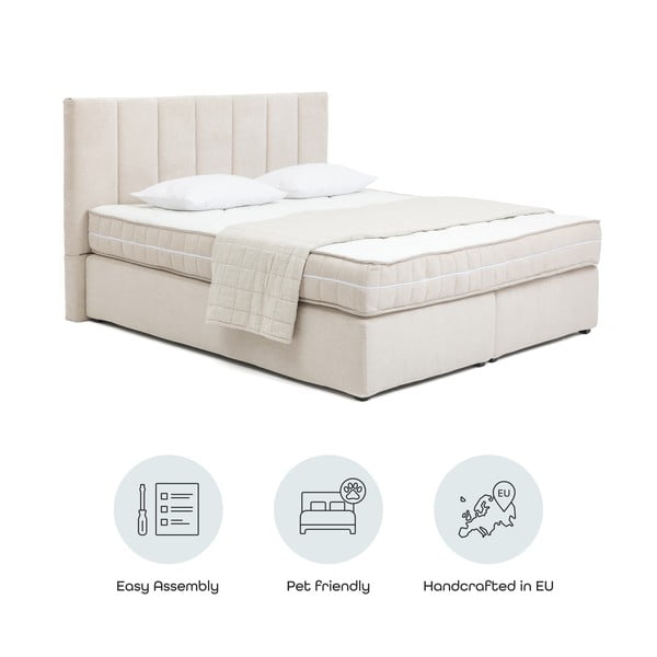 Smėlio spalvos spyruoklinė lova 160x200 cm Olia Bold Line – Bonami Selection-image-4