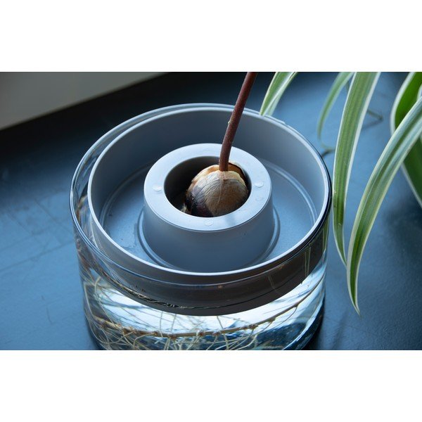 Iš stiklo daiginimo konteineris ø 14 cm Avocado – Esschert Design-image-1