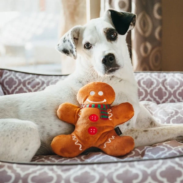 Žaislas šuniui Meduolinis žmogeliukas - P.L.A.Y.-image-1