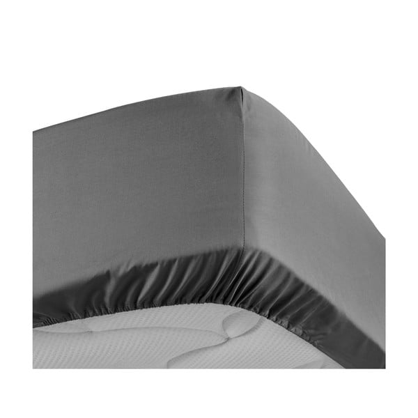 Paklodė iš medvilninio perkelio antracito spalvos su guma 140x190 cm Percaline – douceur d'intérieur-image-3