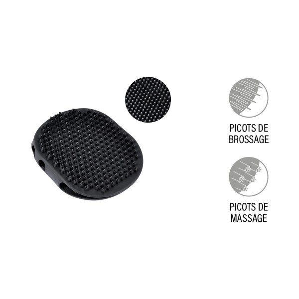 Augintinio šepetys – Love Story-image-2