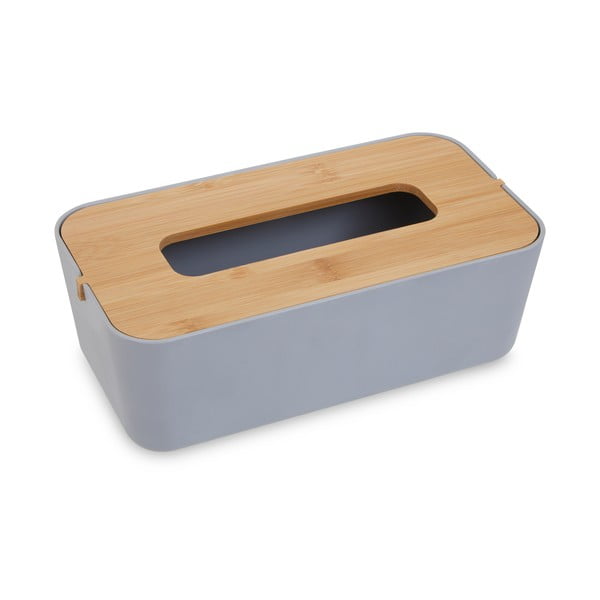Nosinių dėžutė iš plastiko Canyon – Premier Housewares