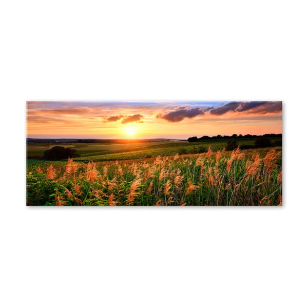 Vaizdas Styler Glas Sunset Meadow, 50 x 125 cm