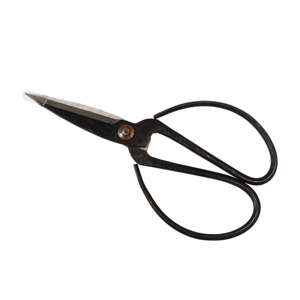 Sodo žirklės Your Garden – Rex London