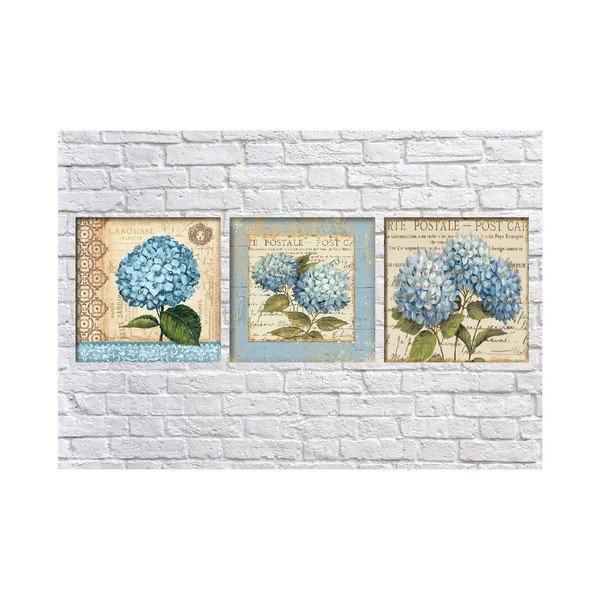 3 paveikslų rinkinys Tablo Center Hydrangea Postale