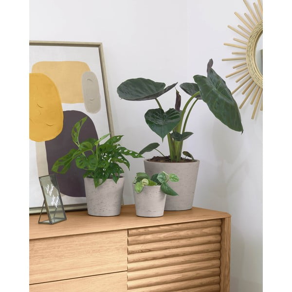 Iš betono vazonai 3 vnt. ø 23,5 cm Low – Kave Home-image-1