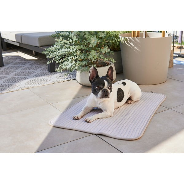 Iš medvilnės pledas pilkos spalvos šuniui 90x120 cm Onda Pebble L – MiaCara-image-1