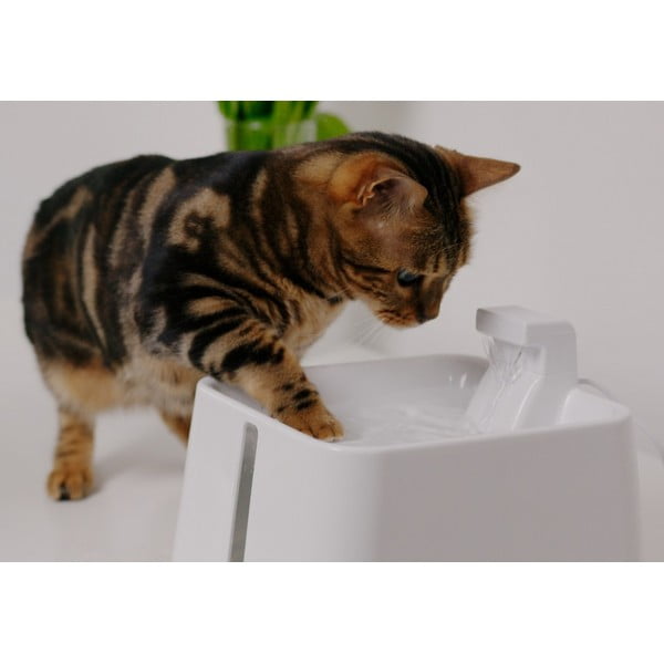 Fontanas augintiniui Epic Pet Zen - Plaček Pet Products-image-1