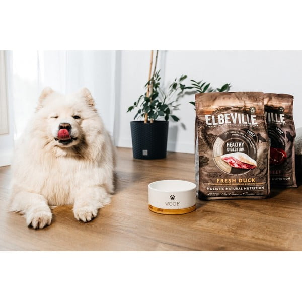 Iš keramikos augintinių dubuo šuniui ø 13 cm Dog Fantasy WOOF – Plaček Pet Products-image-1