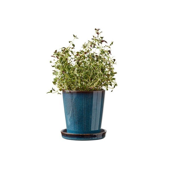 Iš molio gėlių vazono dangtelis ø 10 cm Gastro Dark Blue/Black – Bitz-image-1