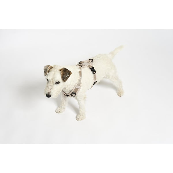 Dirželis smėlio spalvos L ilgis 42 cm Modena Greige L – MiaCara-image-2