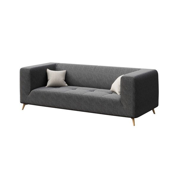 Tamsiai pilka sofa MESONICA Toro, 217 cm-image-2
