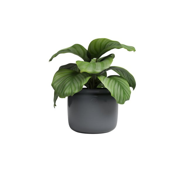 Rankų darbo vazonas iš keramikos ø 20 cm Astrea – Artevasi-image-3