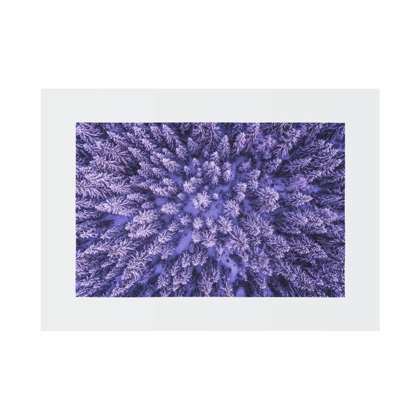 Violetinis kilimas Oyo home Suzzo Flower, 140 x 220 cm-image-2