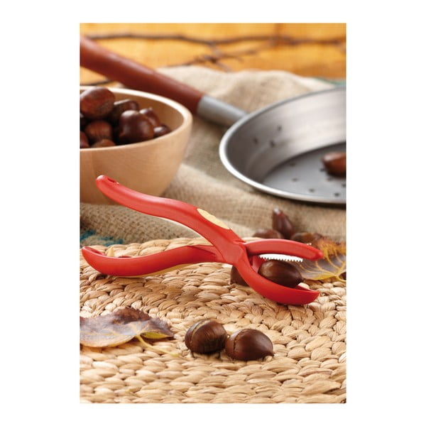 "Red Snips" kaštoninis riešutininkas-image-2