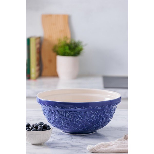 Mėlynos spalvos iš akmens masės dubuo ø 26 cm Fruits Blueberry – Mason Cash-image-1