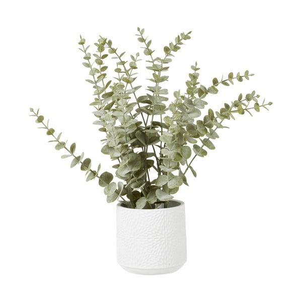 Dirbtinė eukalipto gėlė baltame keraminiame vazone Premier Houseware Fiori