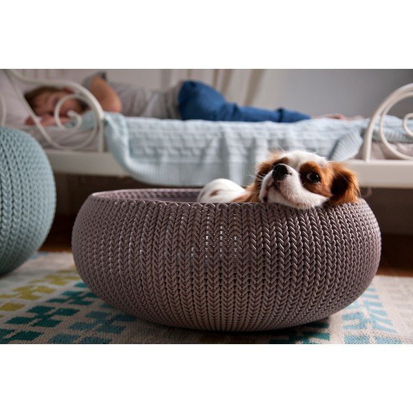 Ruda plastikinė lova katėms Curver Knit Bed-image-1