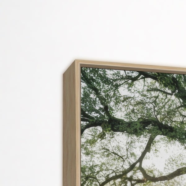 Paveikslas 150x60 cm Tree in the Sun – knor-image-3