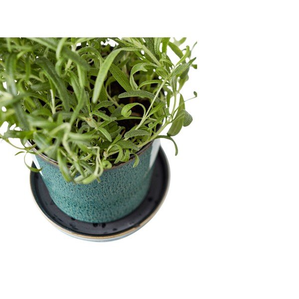 Iš molio gėlių vazono dangtelis ø 10 cm Gastro Green/Black – Bitz-image-2
