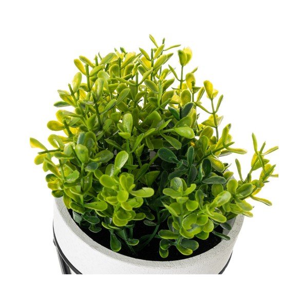 Dirbtinės gėlės 4 vnt. – Casa Selección-image-3