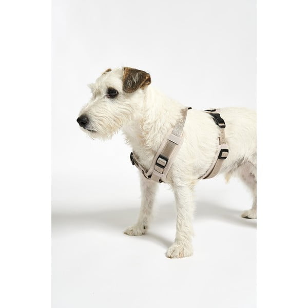 Dirželis smėlio spalvos L ilgis 42 cm Modena Greige L – MiaCara-image-4