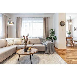 Rankų darbo iš medvilnės kilimas kreminės spalvos 160x230 cm Reimagine – Universal