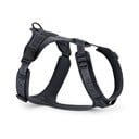 Dirželis tamsiai pilkos spalvos L ilgis 42 cm Modena Asphalt L – MiaCara