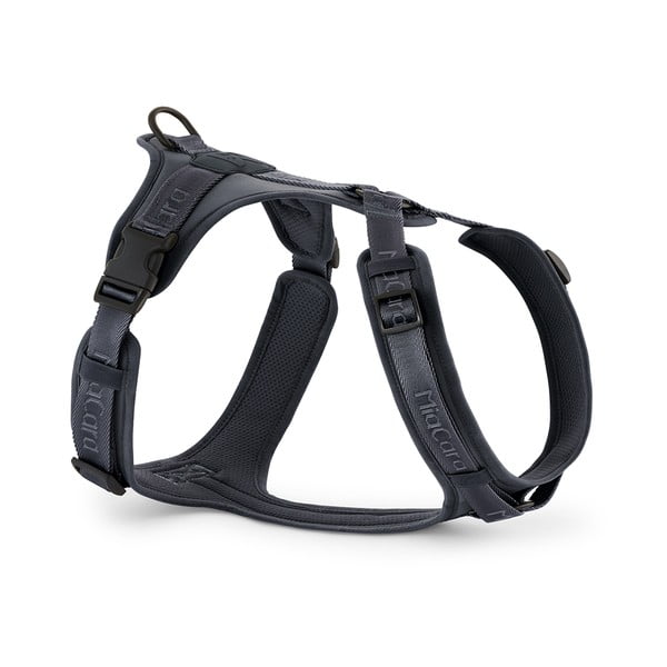 Dirželis tamsiai pilkos spalvos L ilgis 42 cm Modena Asphalt L – MiaCara