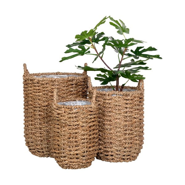 Iš jūržolės gėlių vazonų dangteliai 3 vnt. ø 31 cm Hue – House Nordic-image-2