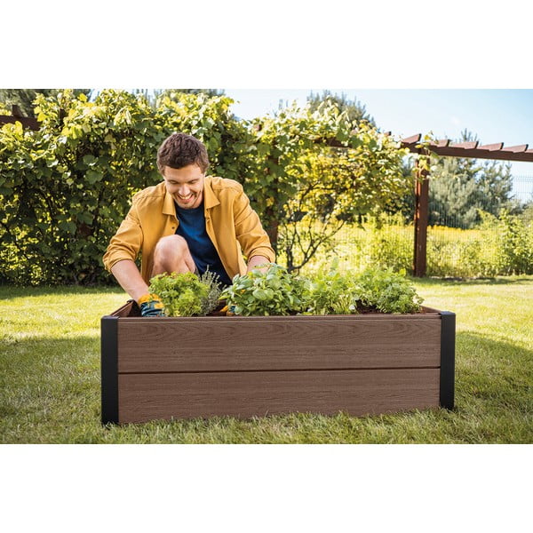 Pakelta sodo lysvė Maple – Keter-image-1