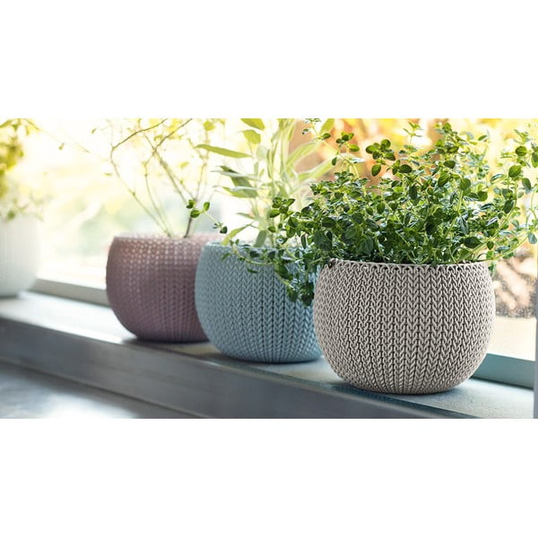 Iš plastiko vazonai 3 vnt. ø 15 cm Cozy – Keter-image-1
