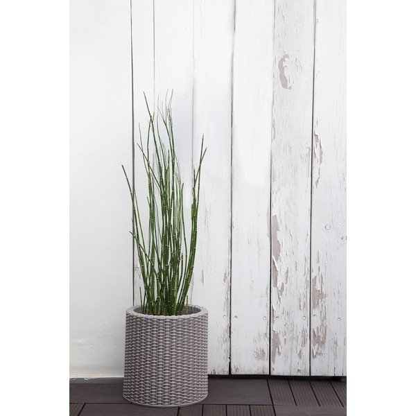 Iš plastiko vazonas ø 28 cm Cylinder – Keter-image-1