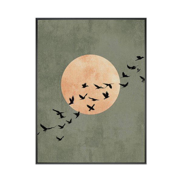 Spausdintas paveikslas su rėmeliu 60x80 cm Midnight Flight – Styler