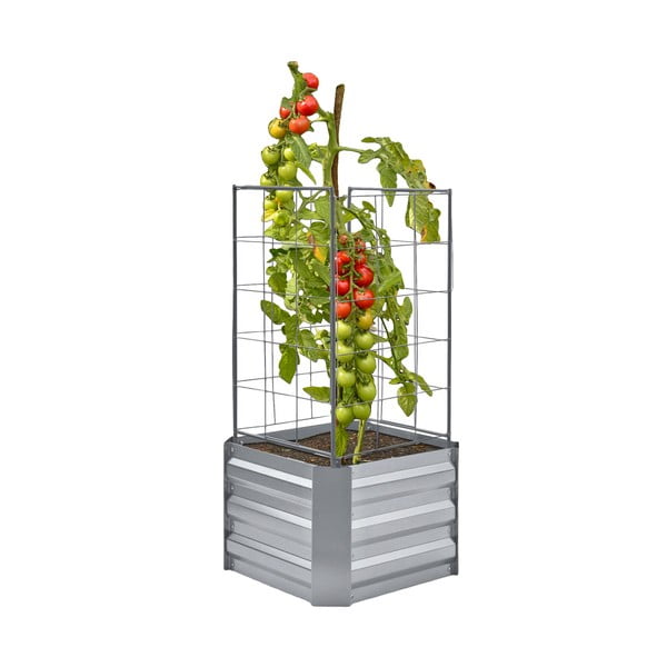 Pakelta sodo lysvė Dahlia – Garden Pleasure-image-2